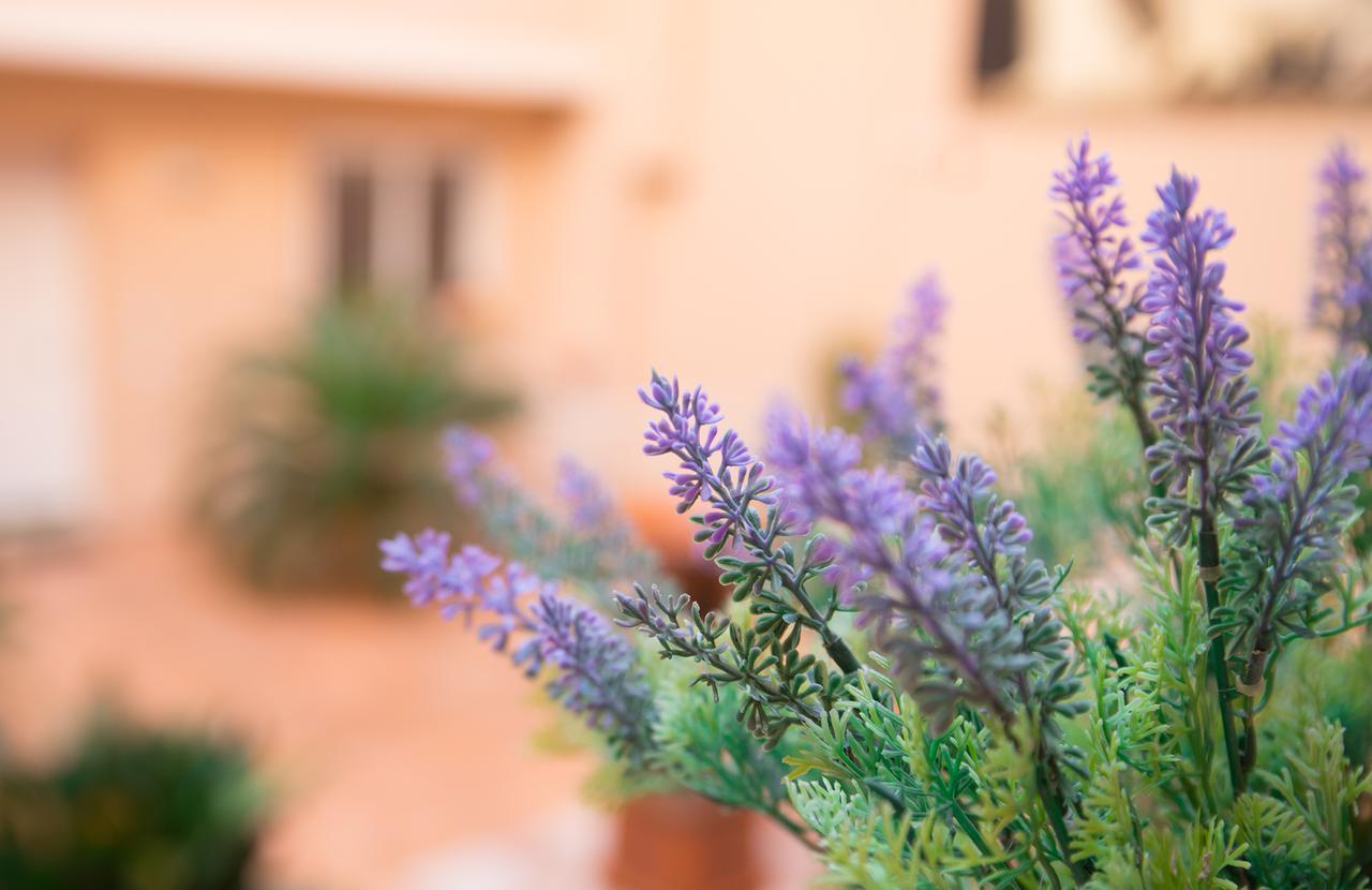 Il Cortile Delle Esperidi Lecce Exterior foto
